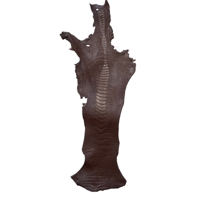 Straußenbeinleder - No. 06 - braun