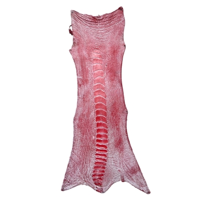 Straußenbeinleder - No. 17 - rot gewischt