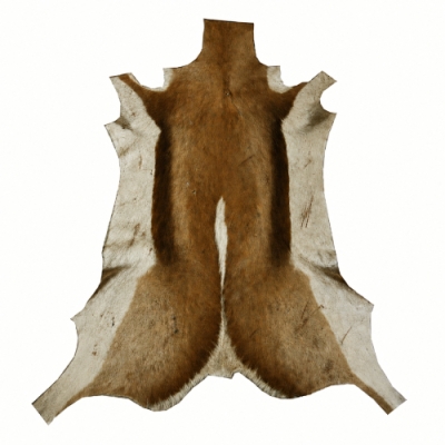Springbockfell - natur - Wildware