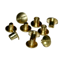 Buchschrauben / Chicagoschrauben 5mm - vermessingt - 10er Pack (offen)