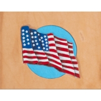 CRAFTAID® 6646 US FLAG